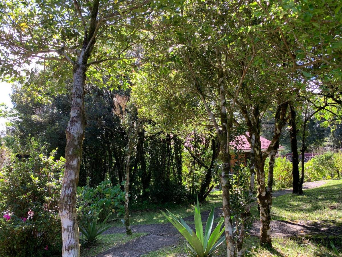 Rancho Makena Acomodação com café da manhã Monteverde Exterior foto